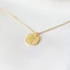 Sterrenbeeld ketting gold plated