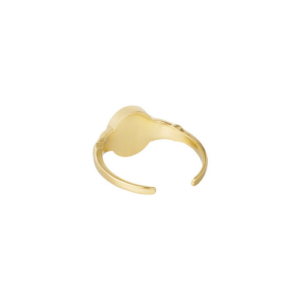 Jinte ring goud